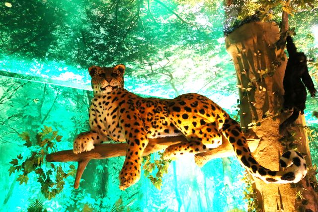 museo-orbe-Yancuic-sala-jaguar.jpg